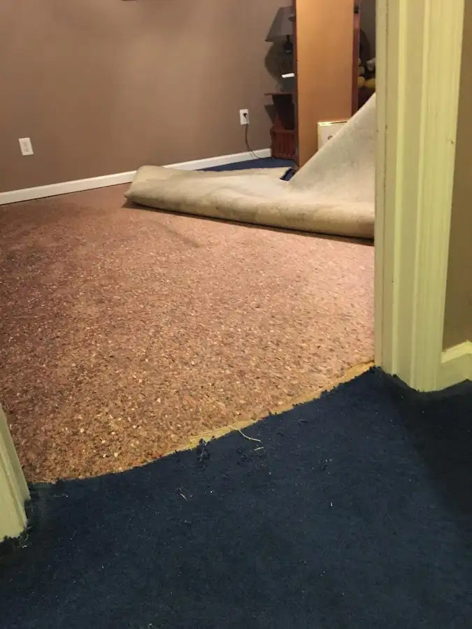 Carpet pad removal revealing water damage during Drying & Dehumidification in Hoschton