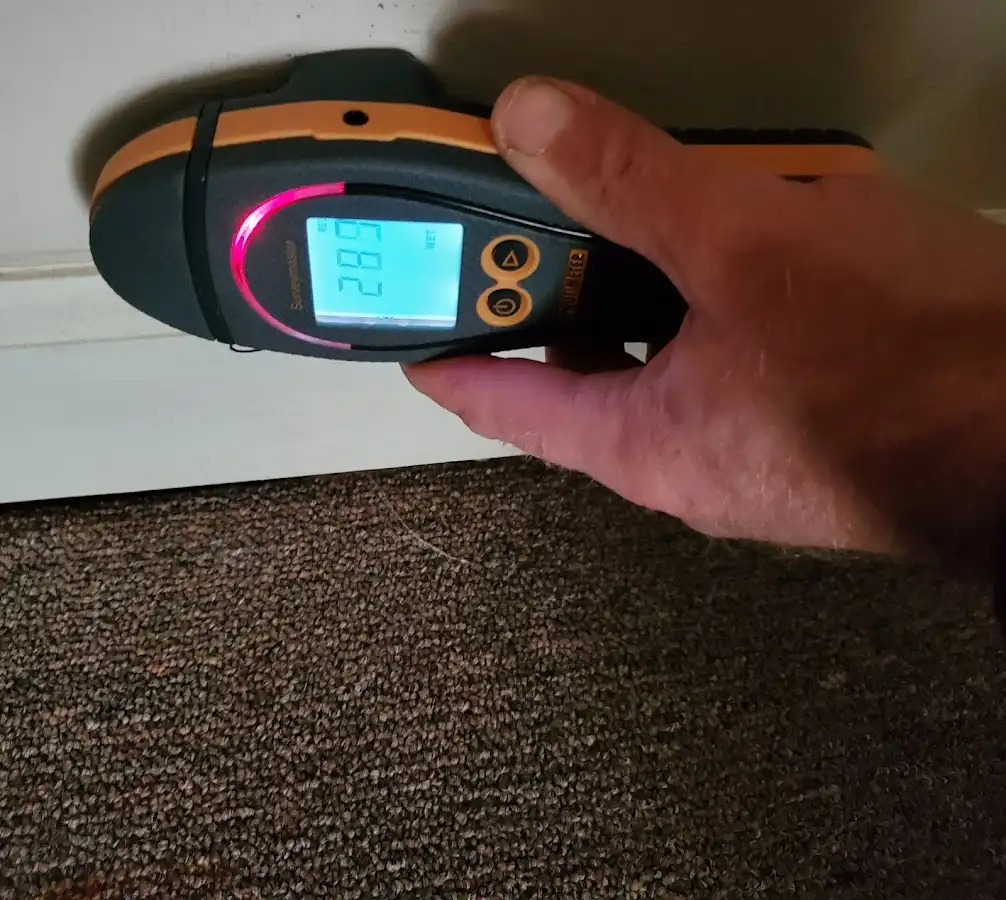 Moisture detection at baseboard during Sewage Cleanup & Sanitation in Hoschton